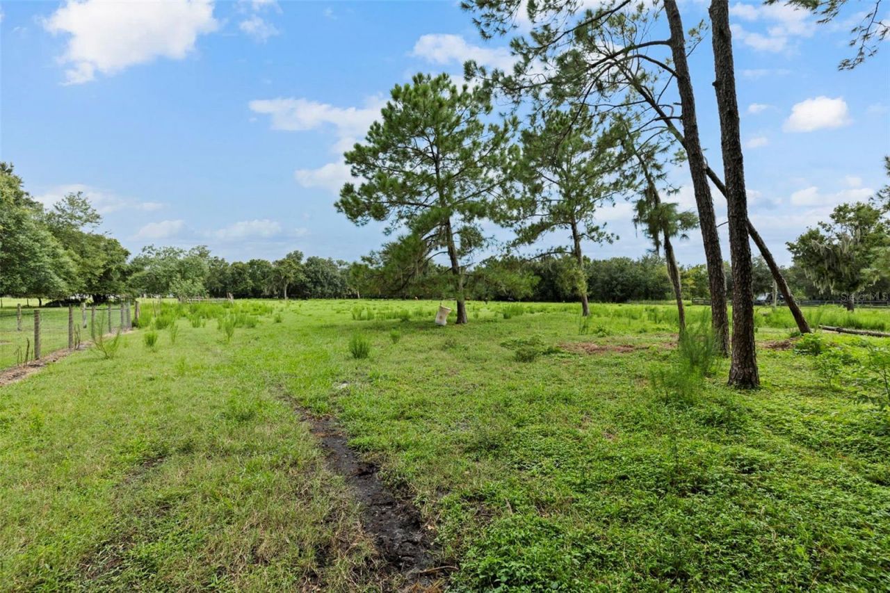 6930 Muck Pond Road, Seffner, FL 33584 Photo