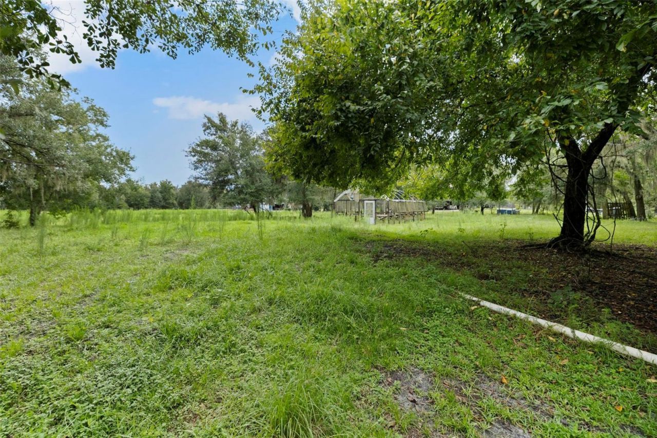 6930 Muck Pond Road, Seffner, FL 33584 Photo