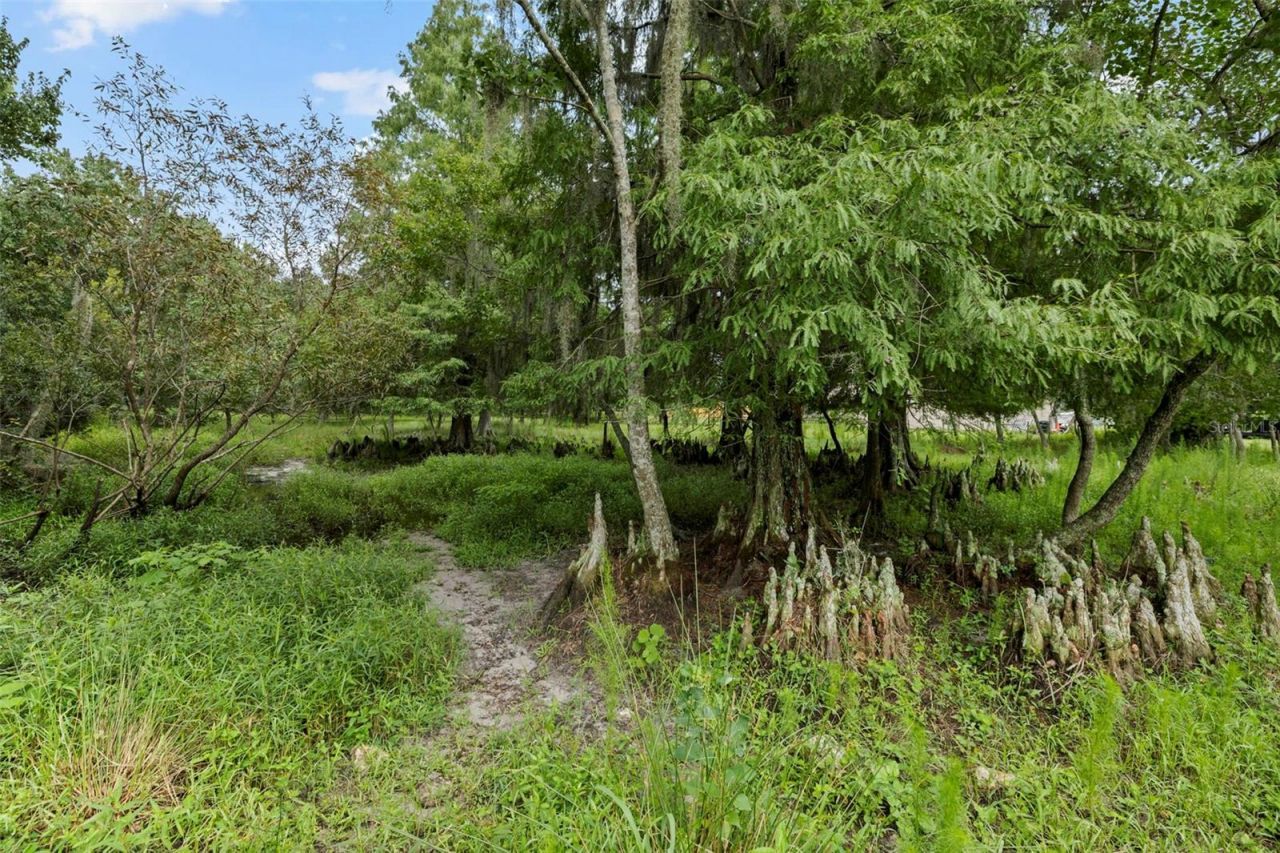 6930 Muck Pond Road, Seffner, FL 33584 Photo
