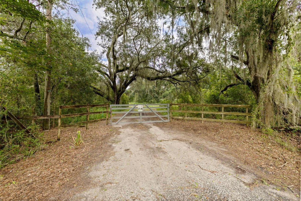 6930 Muck Pond Road, Seffner, FL 33584 Photo
