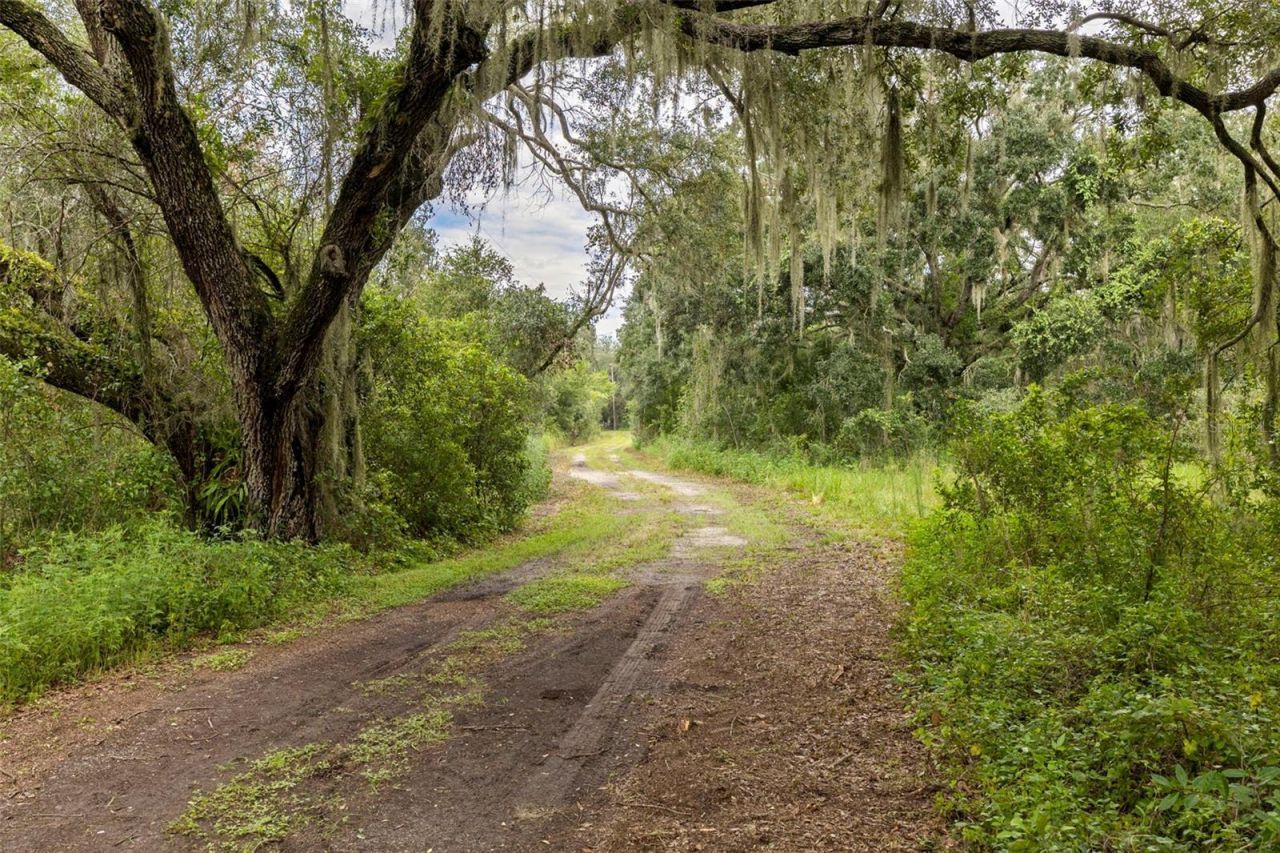6930 Muck Pond Road, Seffner, FL 33584 Photo