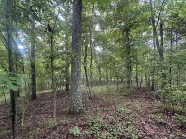 Lot 108 Chesadu Circle Circle, South Pittsburg, TN 37380