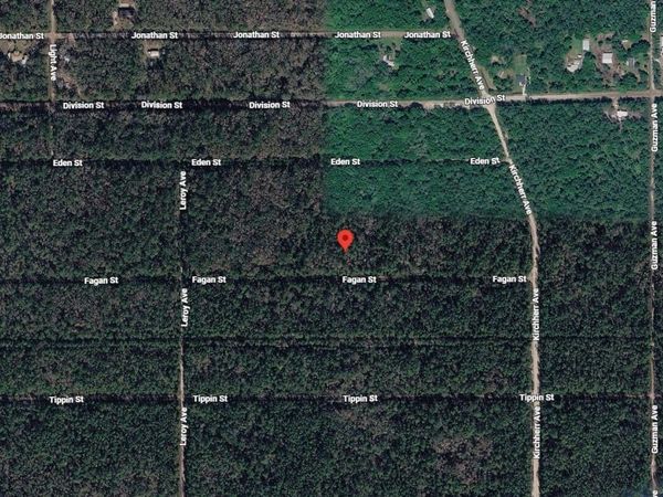 Tbd fagan Street, Hastings, FL 32145