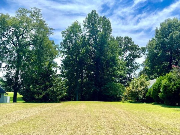 167 Saddle Tree Drive , Three Way, TN 38343