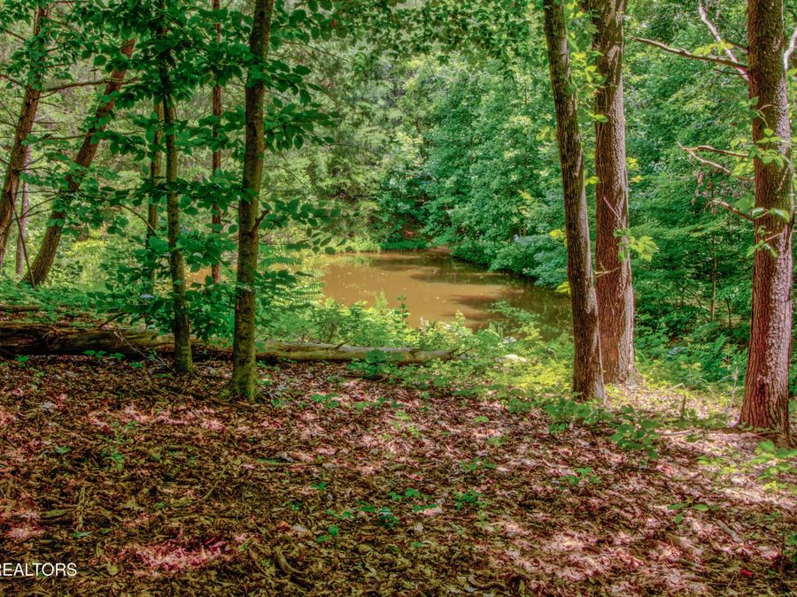 Property Image 57