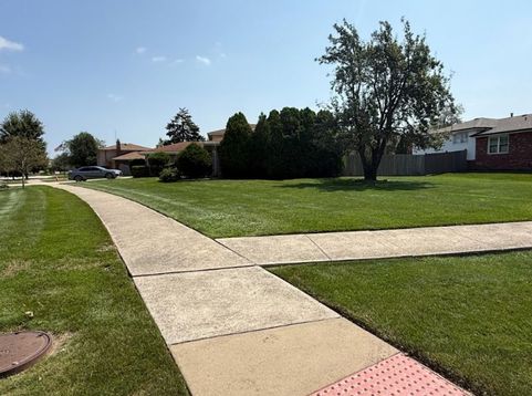 Main Photo