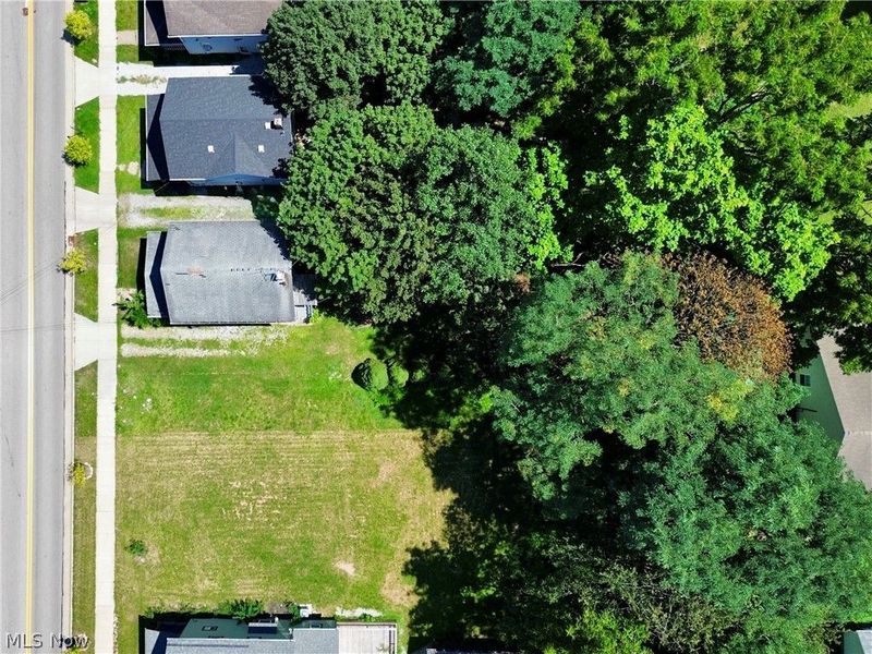 1182 5th Avenue, Akron, OH 44306 Photo 6