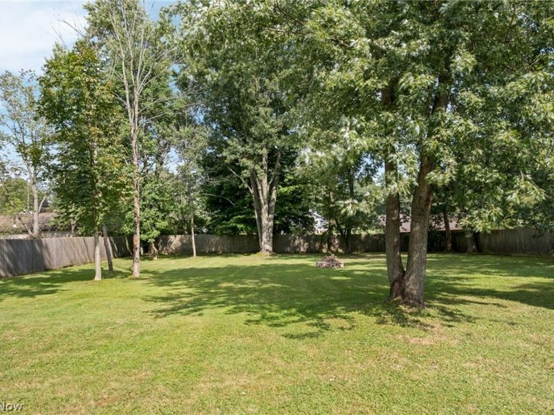 2985 Carl Street , Norton, OH 44203 Photo 30