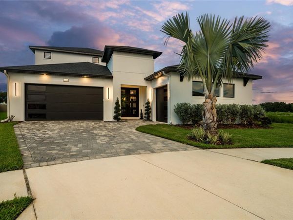 32449 WETLAND BIRD VIEW , SAN ANTONIO, FL 33576