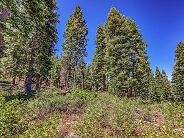 2620 Mill Site Road , Truckee, CA 96161