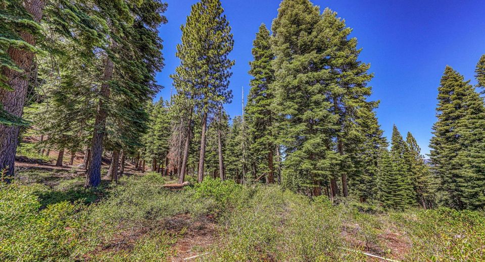 2620 Mill Site Road , Truckee, CA 96161 Photo