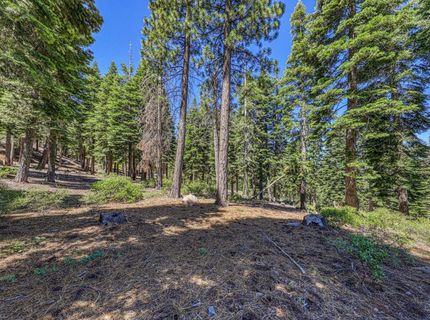 2620 Mill Site Road , Truckee, CA 96161 Photo