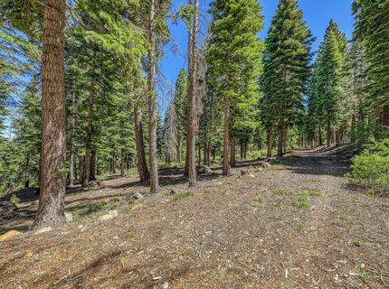 2620 Mill Site Road , Truckee, CA 96161 Photo