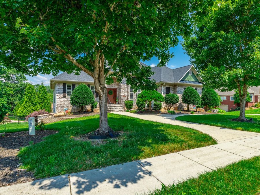 Property Image 158