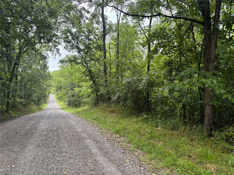 Pacific Road NE, Carrollton, OH 44615 Photo 10