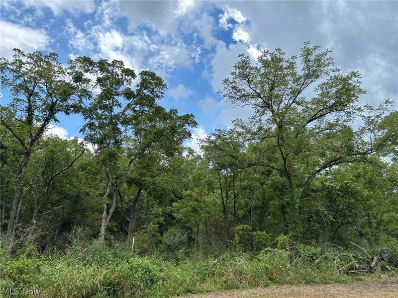 Pacific Road NE, Carrollton, OH 44615 Photo 13