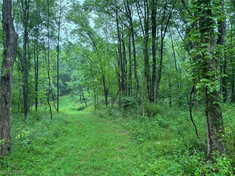 Pacific Road NE, Carrollton, OH 44615 Photo 14