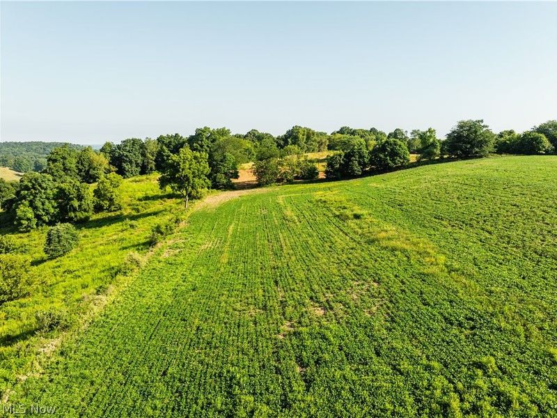 Township Road 427 , Coshocton, OH 43812 Photo 21
