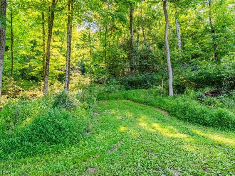 Township Road 427 , Coshocton, OH 43812 Photo 22