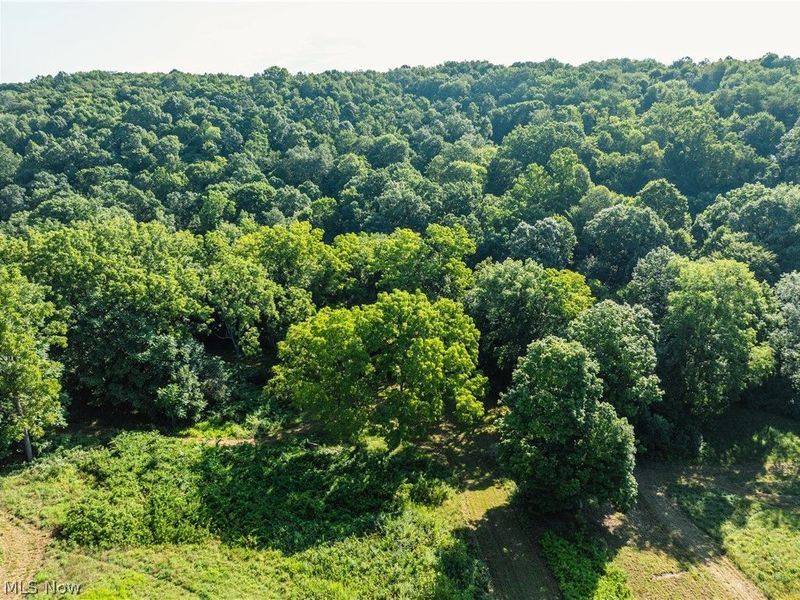 Township Road 427 , Coshocton, OH 43812 Photo 23