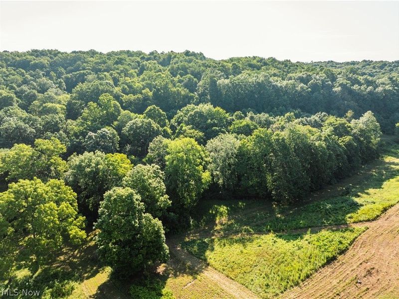 Township Road 427 , Coshocton, OH 43812 Photo 24