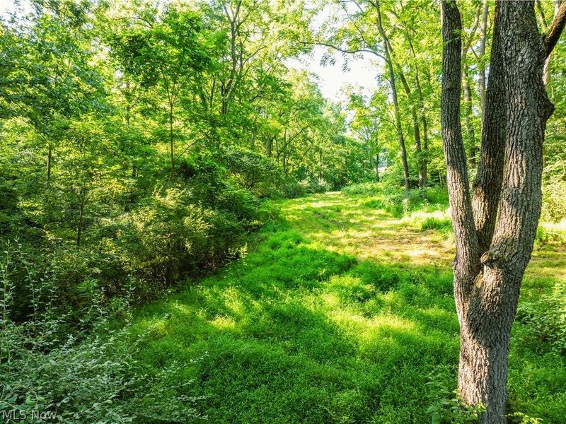 Township Road 427 , Coshocton, OH 43812 Photo 39