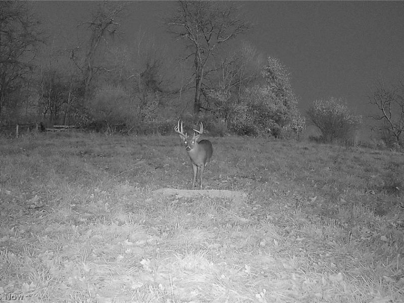 Township Road 427 , Coshocton, OH 43812 Photo 45
