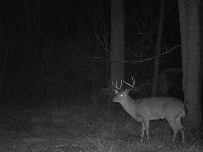 Township Road 427 , Coshocton, OH 43812 Photo 49