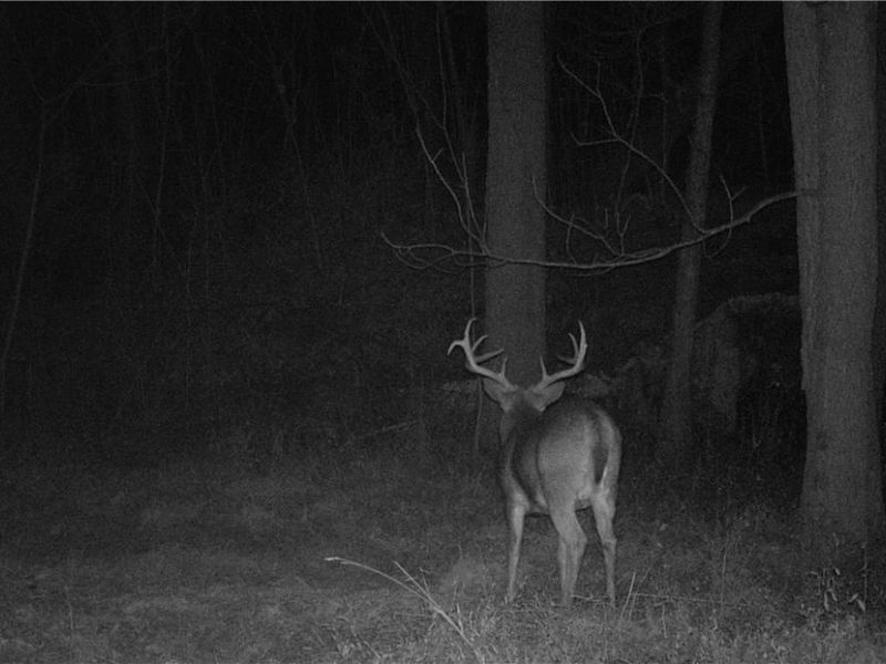 Township Road 427 , Coshocton, OH 43812 Photo 50