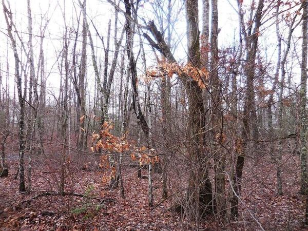 1143 Natchez, Crossville, TN 38572