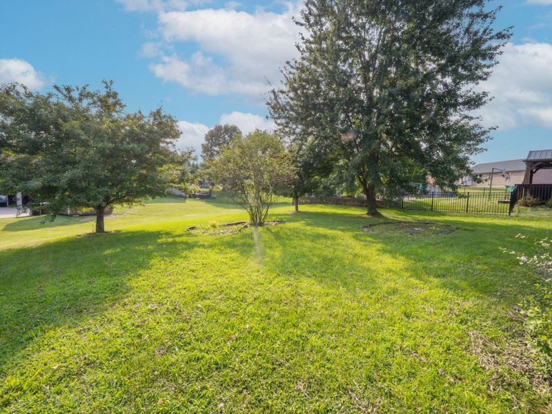 7602 Cloudstone Drive, Florence, KY 41042 Photo 46
