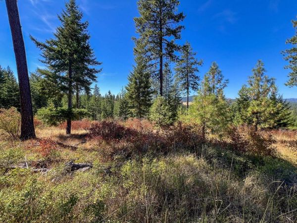 52XX Lot 7 Swenson Rd, Deer Park, WA 99006