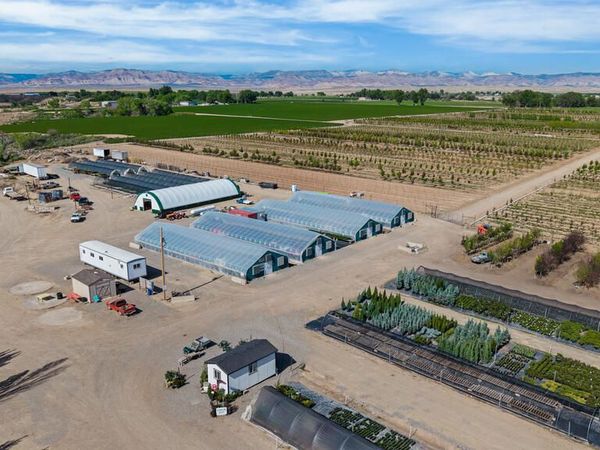1702 10 Road, Mack, CO 81525
