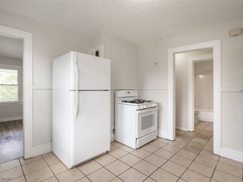 723 E 162nd Street, Cleveland, OH 44110 Photo 3