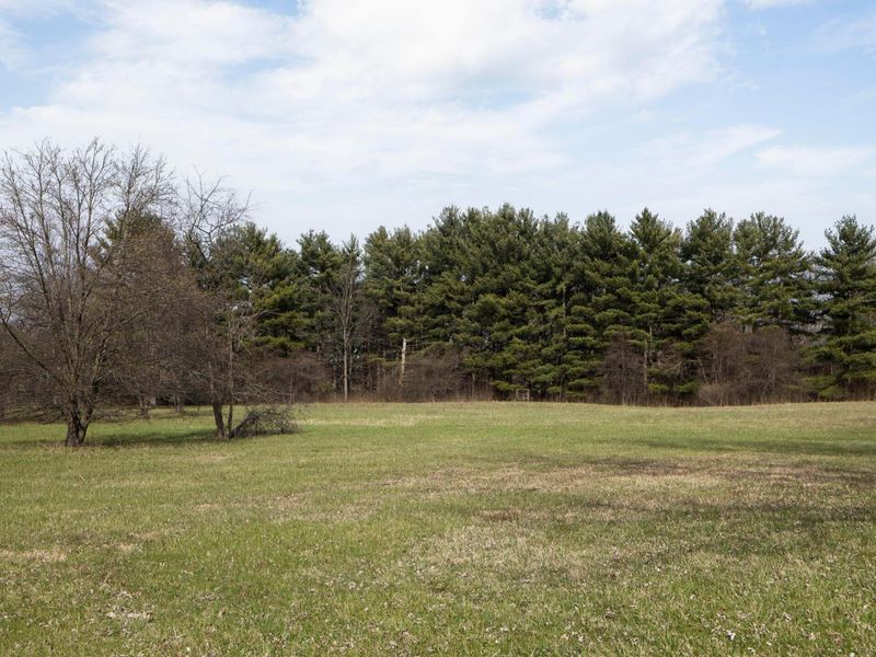 6828 Bevelhymer Road , New Albany, OH 43054 Photo 10