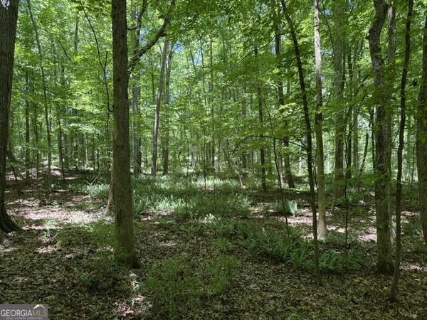 0 Kendricks Mill Road, Crawfordville, GA 30631