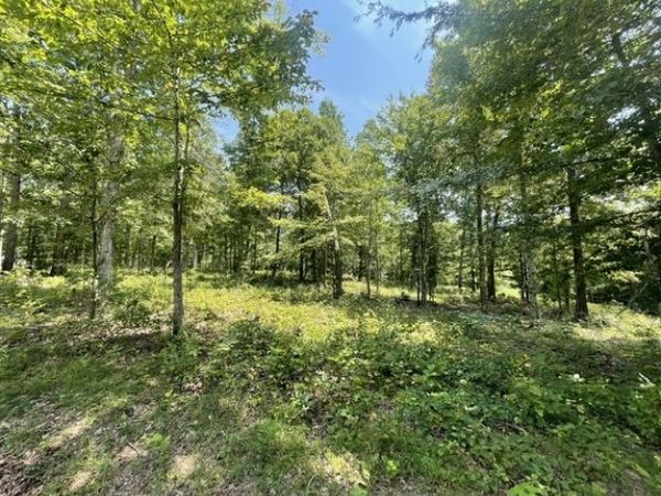 0 Hillcrest Road , Waverly, TN 37185