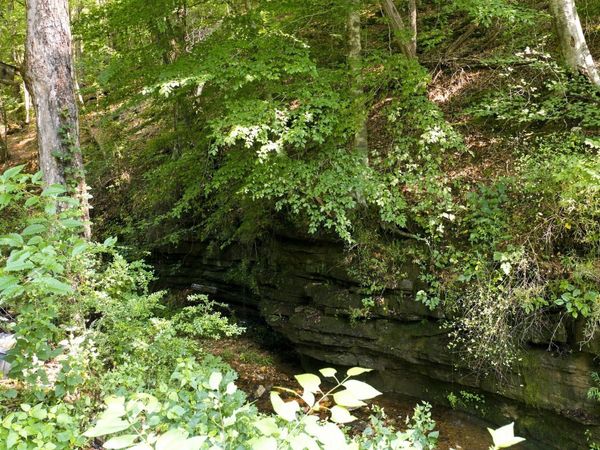 2024 Powdermill Hill Rd, Lawrenceburg, TN 38464