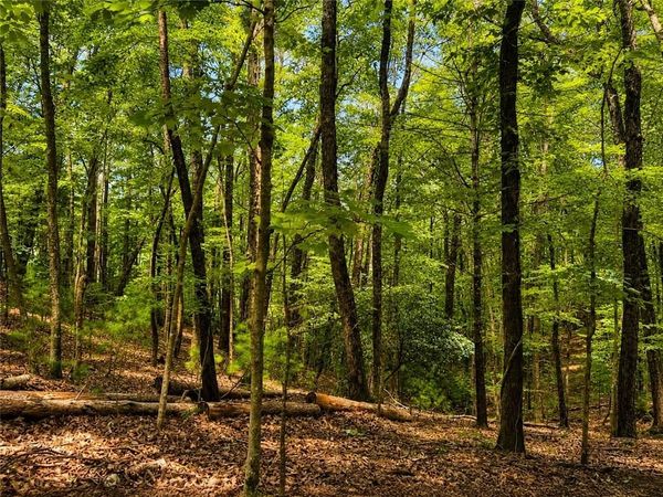 J208 Pine Ridge Road , Ellijay, GA 30536