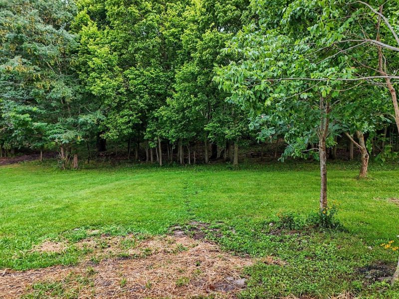26295 Jackson Road, Circleville, OH 43113 Photo 30
