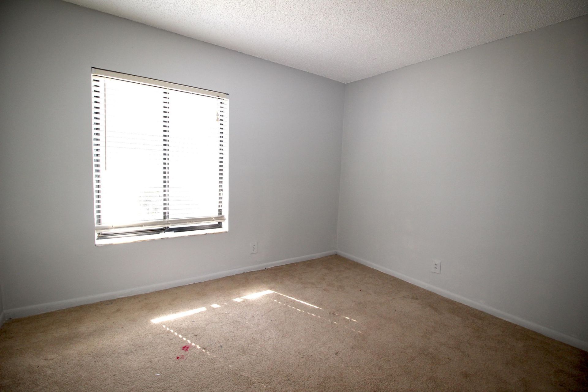 6287 Scotch Pine Lane, Lake Worth, FL 33462 Photo