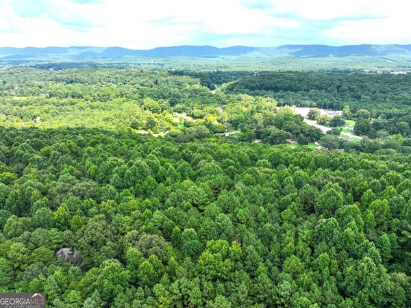 74 +/- Acres on Raccoon Road, Summerville, GA 30747