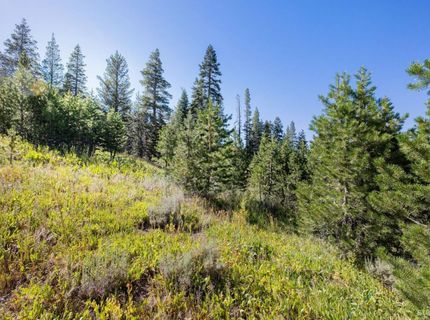 Please Call For Address, Kirkwood, CA 00000 Photo