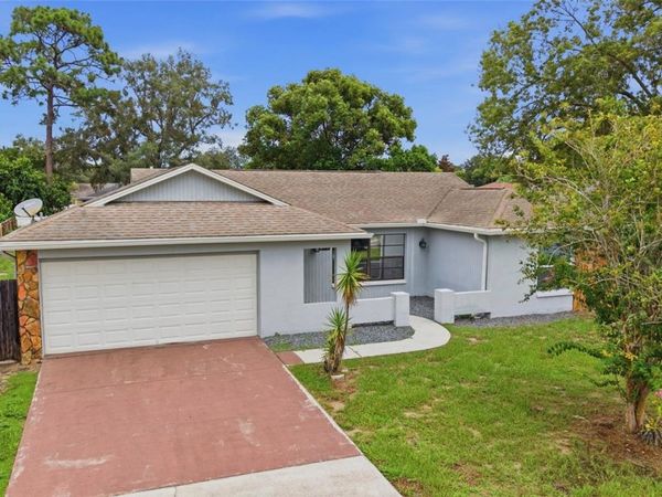 8373 CAMPHOR DRIVE, SPRING HILL, FL 34606