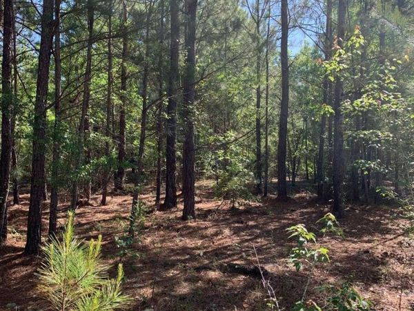 0 Pollett Road, Unit LOT 29, Bartow, GA 30413