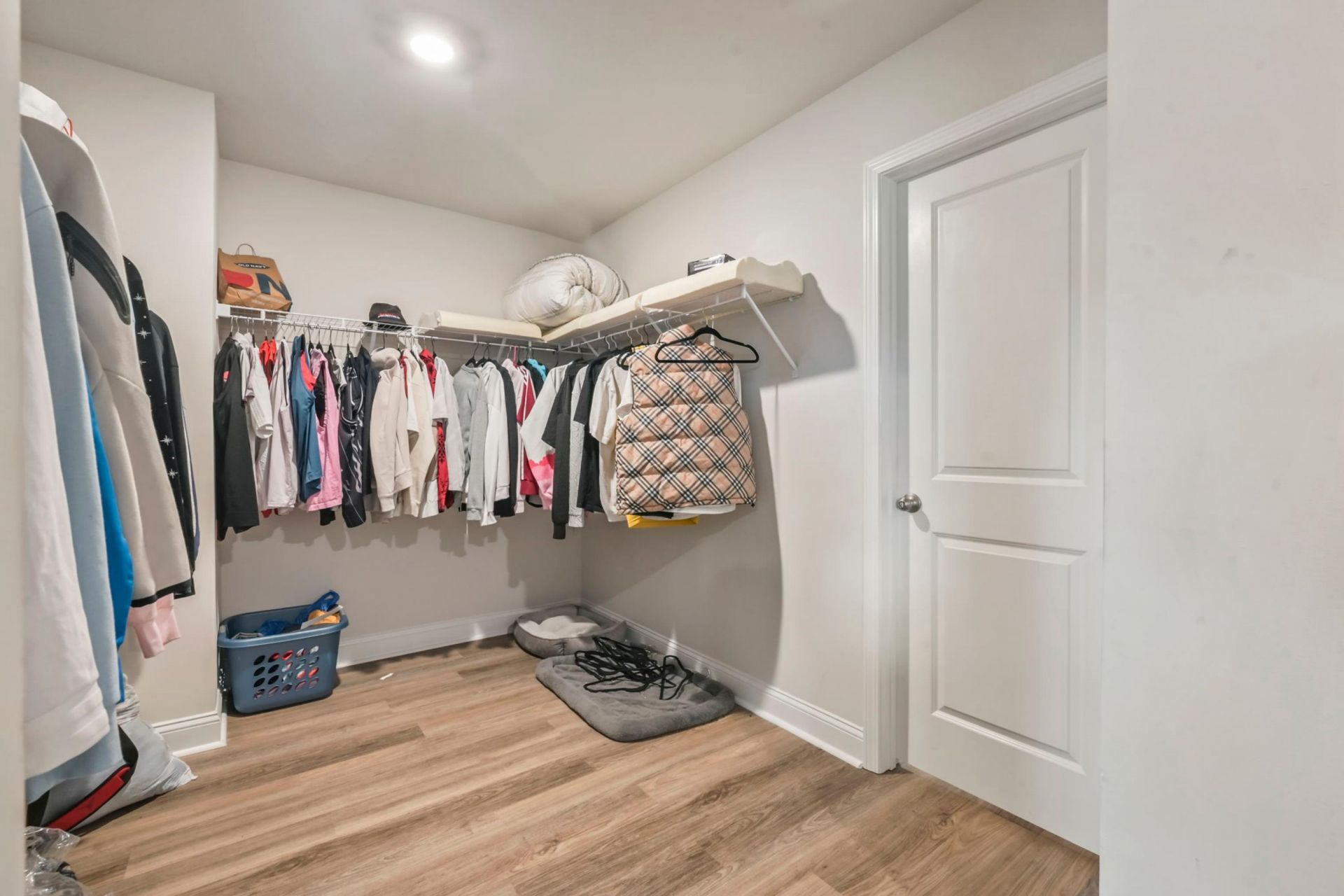 1008 Beechfield Ct. Photo 13