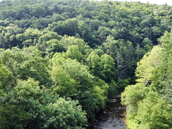10th Ave, Marlinton, WV 24954