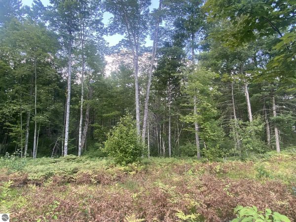 Emma Avenue S, Baldwin, MI 49304