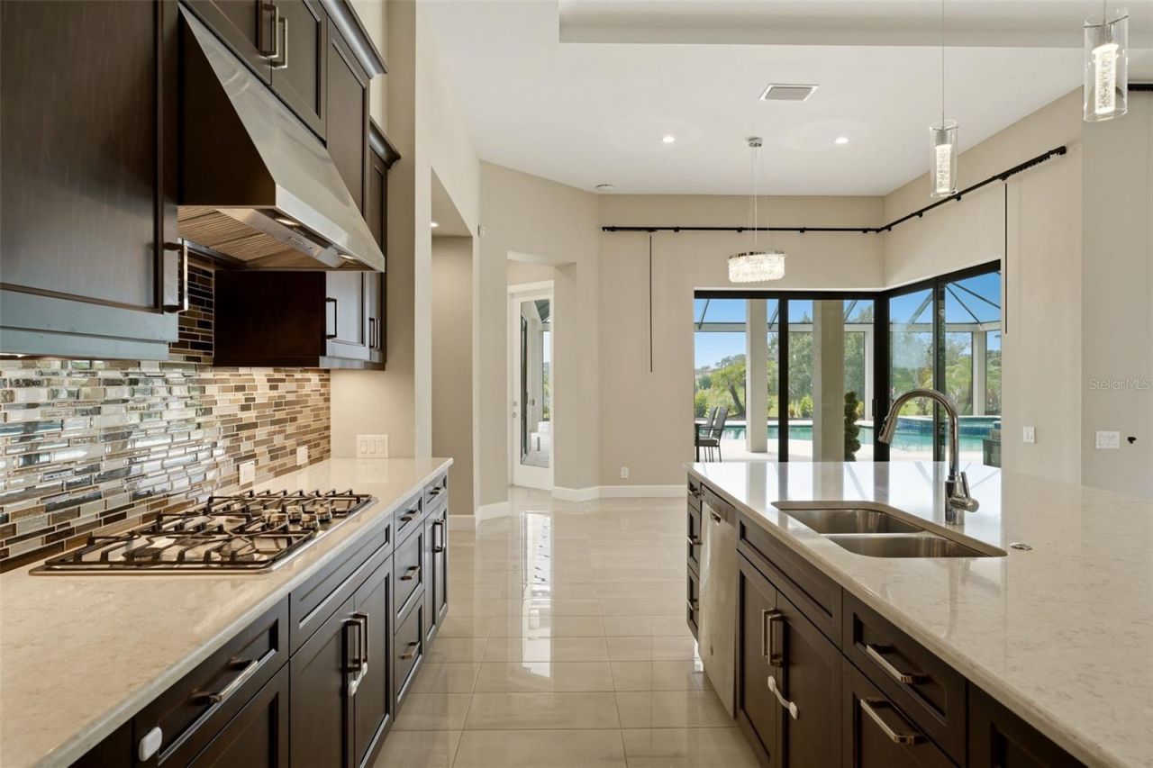 10741 Osprey Landing Way, Thonotosassa, FL 33592 Photo