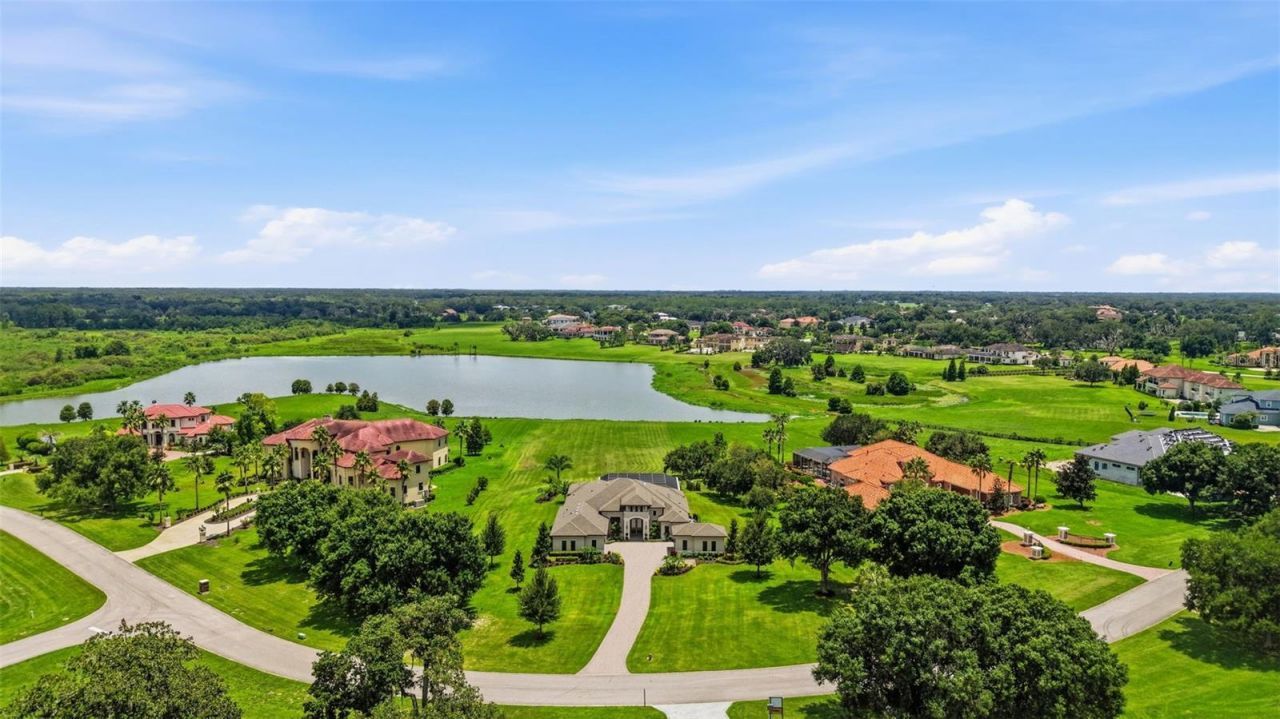 10741 Osprey Landing Way, Thonotosassa, FL 33592 Photo